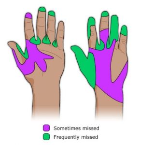 Areas Missed When Washing Hands